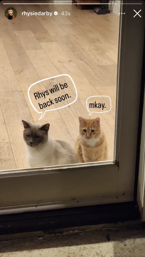 Rhys’ two cats are sitting outside a closed door. They have speech bubbles above their heads. “Rhys will be back soon.” “mkay.”